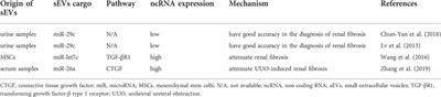 The role of small extracellular vesicle non-coding RNAs in kidney diseases